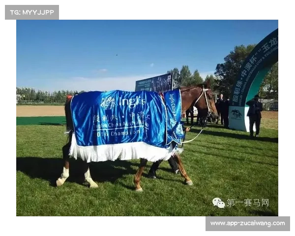 玉龙大赛日宝骏勇胜飞傲世群雄荣膺殷利殊杯前三荣耀时刻